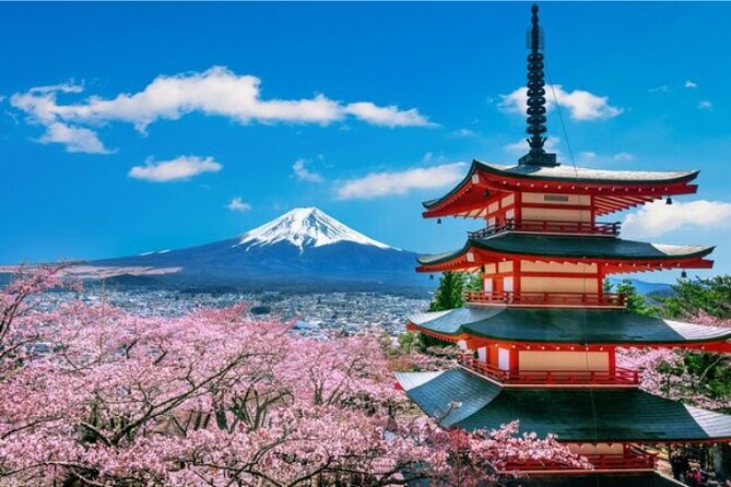 Mount Fuji and Hakone Private Tour by Car with Pickup from Tokyo - Hakone Ropeway and the smoky slopes of Owakudani