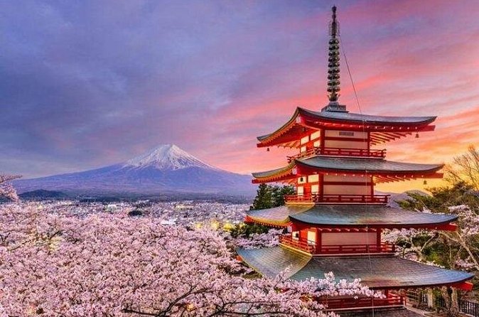 Mount Fuji and Hakone Private Tour by Car with Pickup from Tokyo - What the driver adds to the day
