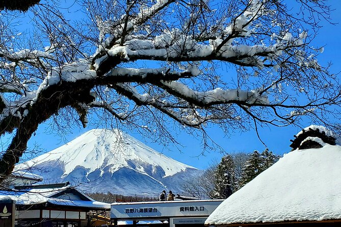 Mount Fuji and Hakone Private Tour from Tokyo (Customizable) - Key points to know before booking