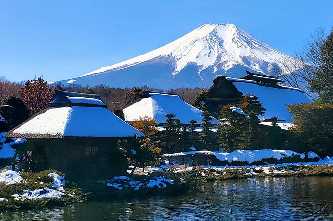 Mount Fuji and Hakone Private Tour from Tokyo (Customizable) - Why this private Fuji and Hakone day works