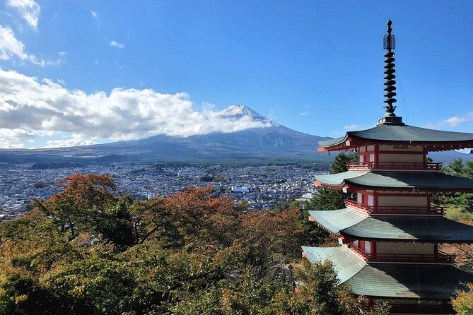 Mount Fuji and Hakone Private Tour from Tokyo (Customizable) - Kitaguchi Hongu Fuji Sengen Jinja Shrine