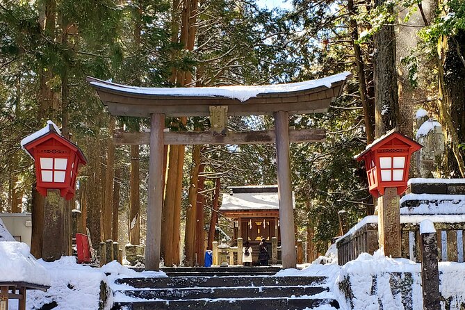 Mount Fuji and Hakone Private Tour from Tokyo (Customizable) - Hakone Ropeway and the volcanic Owakudani Valley