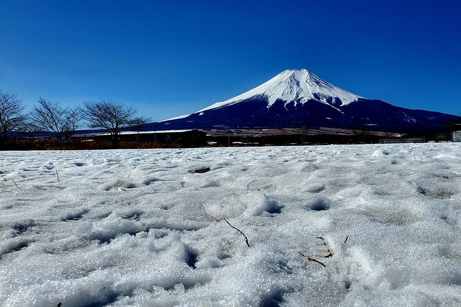 Mount Fuji and Hakone Private Tour from Tokyo (Customizable) - Lake Ashi and the final Hakone views