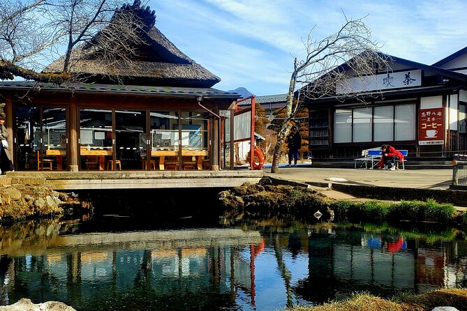Mount Fuji and Hakone Private Tour from Tokyo (Customizable) - The long day, traffic, and realistic pacing