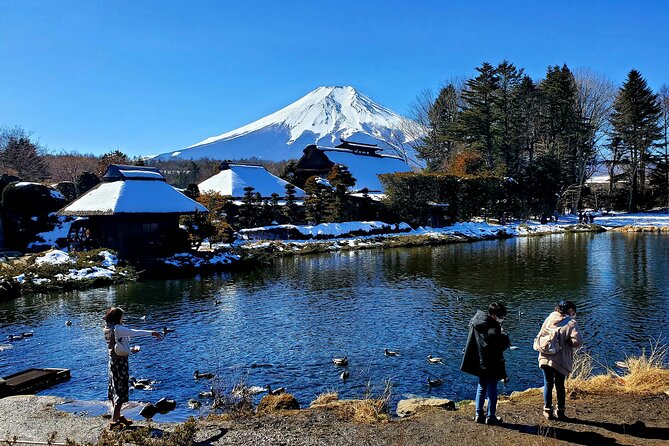 Mount Fuji and Hakone Private Tour from Tokyo (Customizable) - Chureito Pagoda and the first Fuji view
