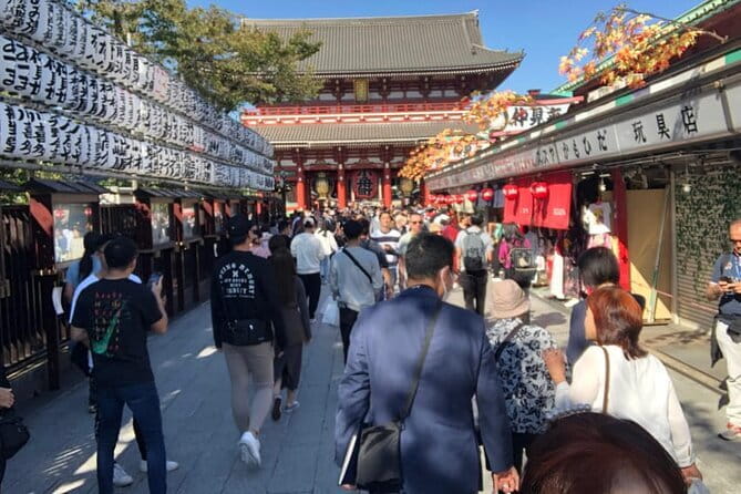 Mount Fuji and Hakone Private Tour with Pickup from Tokyo - Hakone Ropeway Over Owakudani
