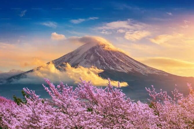 Mount Fuji and Hakone Private Tour with Pickup from Tokyo - What the Private Vehicle Adds