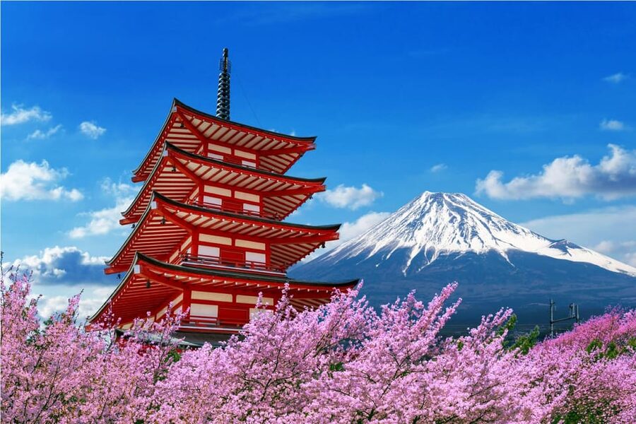 Mount Fuji and Hakone Tour with Personal Driver & Transport - Key points to know before you book
