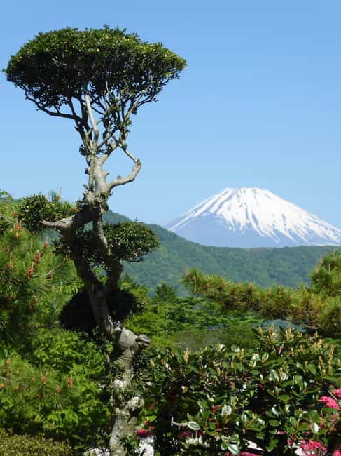 Mount Fuji: Customizable Private Tour By Car With Pickup - Oshino Hakkai and the taste of Fuji water