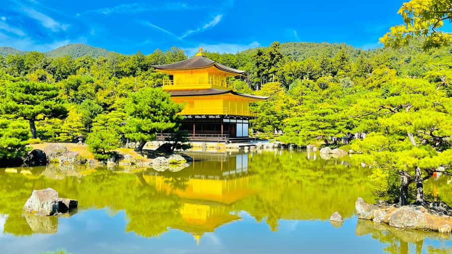 Mount Fuji Customize Private Tour with English Driver - Key points to know before booking