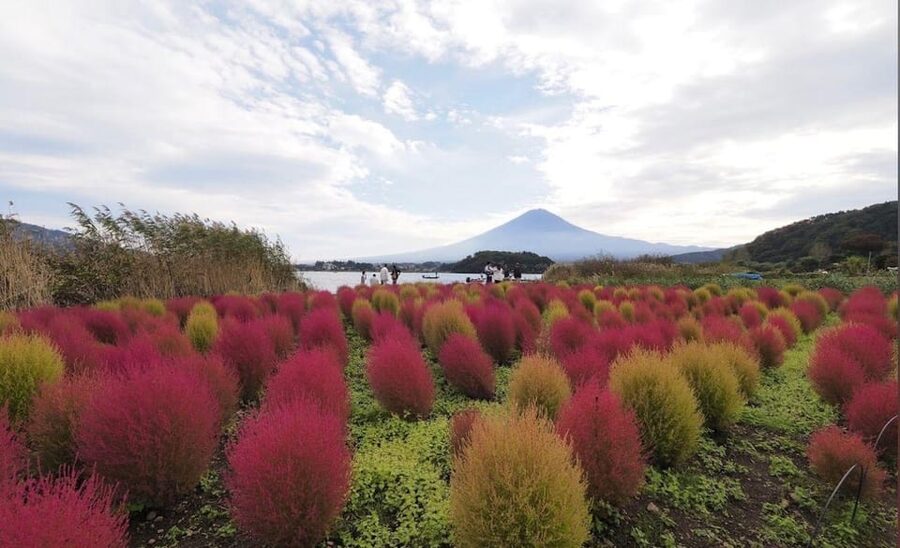 Mount Fuji Customize Private Tour with English Driver - Fuji’s lakes: choose the water experience you want