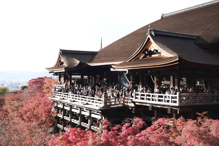 Mount Fuji Customize Private Tour with English Driver - Ropeway, cruise, or outlet shopping?