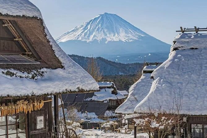 Mount Fuji Day Tour:Lake Kawaguchi, HealingVillage,Oshino Hakkai - Oshino Hakkai and eight clear ponds
