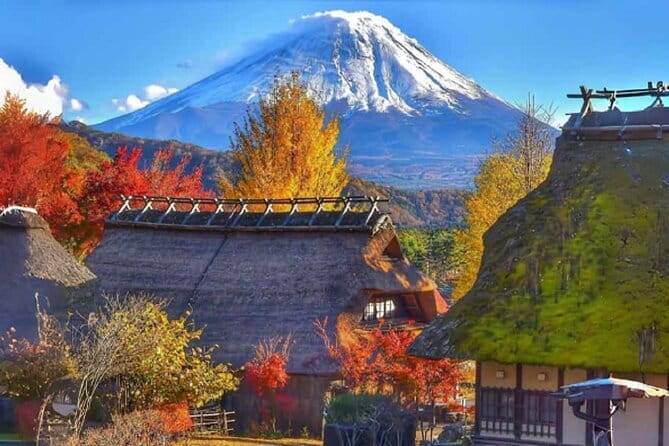 Mount Fuji Day Tour:Lake Kawaguchi, HealingVillage,Oshino Hakkai - Oishi Park beside Lake Kawaguchi
