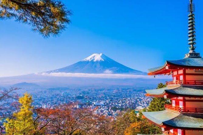 Mount Fuji Full Day Customize Private Tour with English Guide - Key points to know before booking