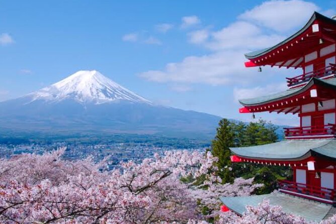 Mount Fuji Full Day Customize Private Tour with English Guide - The $360 price and what you actually receive