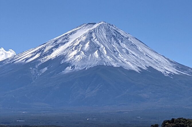 Mount Fuji Full Day Customize Private Tour with English Guide - Gotemba Premium Outlets, shopping at the end