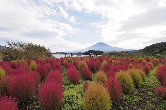 Mount Fuji Full Day Customized Private Tour with English Guide - Narusawa Ice Cave, a cool change of pace