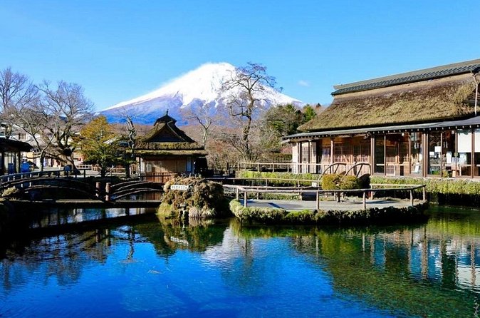 Mount Fuji Full Day Customized Private Tour with English Guide - The optional Hakone branch
