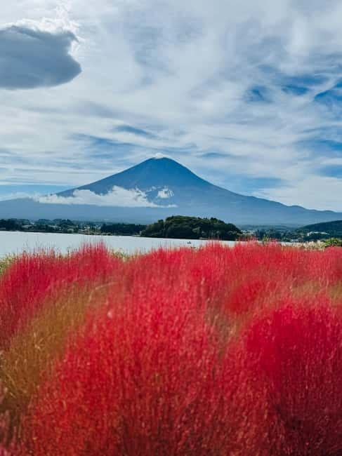 Mount Fuji Full-Day Private Customizable Tour From Tokyo - Lake Kawaguchi, Kachi Kachi Ropeway, and Oishi Park