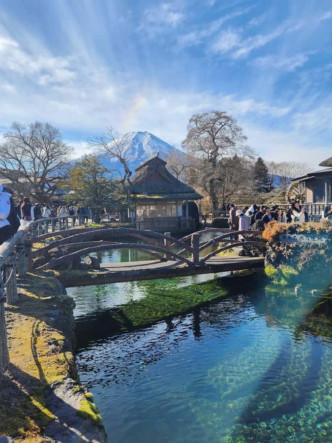 Mount Fuji Full-Day Private Sightseeing Tour with Guide - Key points to know before booking