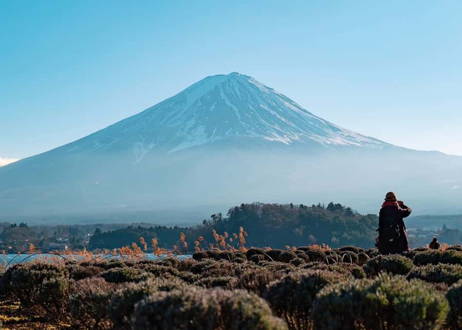 Mount Fuji Full-Day Private Sightseeing Tour with Guide - Why a private Fuji day can beat a fixed bus tour