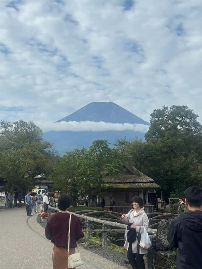 Mount Fuji Full-Day Private Sightseeing Tour with Guide - Chureito Pagoda and the classic photograph