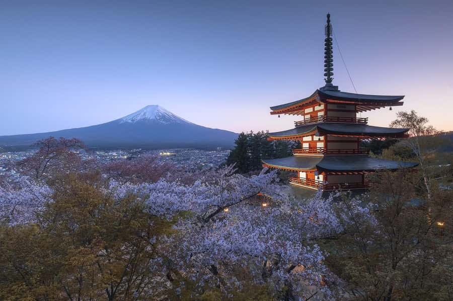Mount Fuji Full-Day Private Sightseeing Tour with Guide - What the $403 price really buys