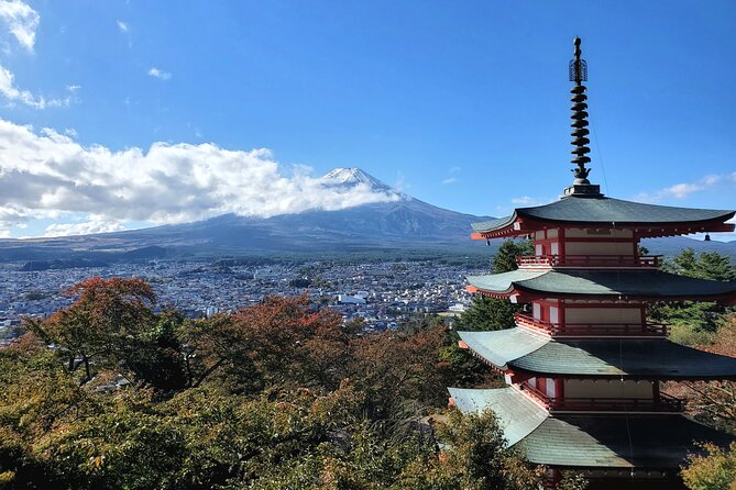 Mount Fuji Full-Day Private Tour from Tokyo (Customizable) - Why a private Mount Fuji day works so well