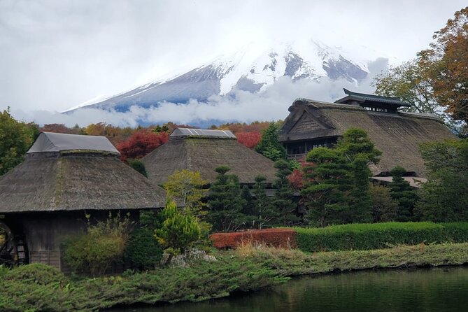 Mount Fuji Full-Day Private Tour from Tokyo (Customizable) - Mount Fuji Subaru Line 5th or 6th Station