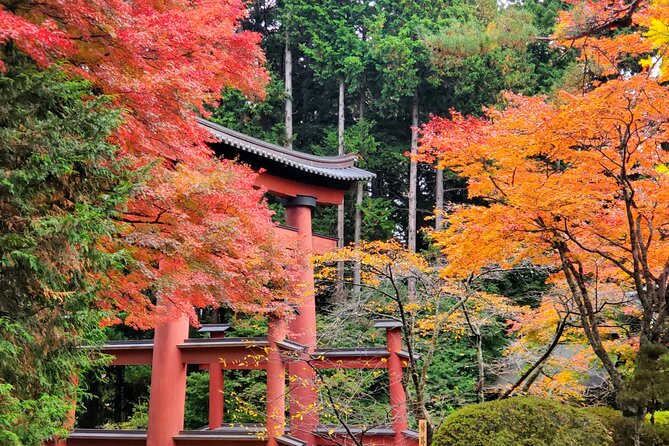 Mount Fuji Full-Day Private Tour from Tokyo (Customizable) - Mt. Fuji Subaru Line 5th Station