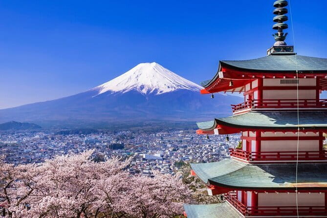 Mount Fuji Full Day Sightseeing Tour from Tokyo - At a glance