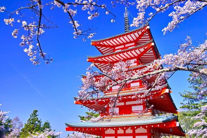 Mount Fuji Full Day Sightseeing Tour from Tokyo - Oishi Park and the Kawaguchiko Natural Living Center