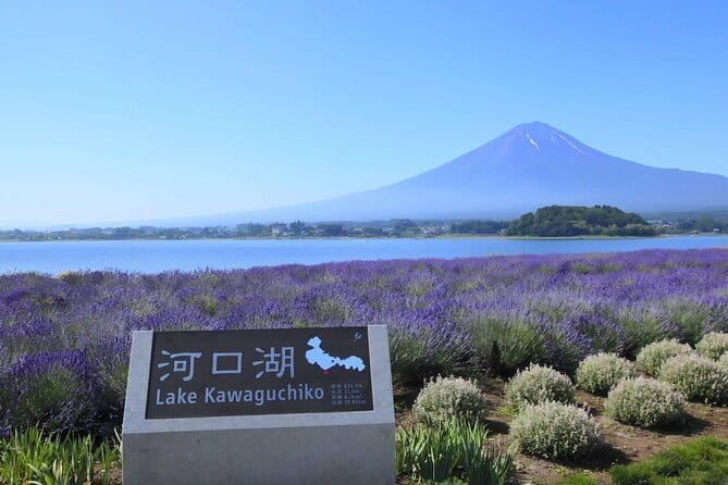 Mount Fuji Full Day Tour form Tokyo Lake Kawaguchi & Yamanaka - Oshino Hakkai and its eight clear springs