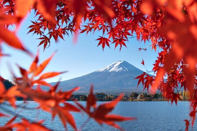 Mount Fuji Full Day Tour form Tokyo Lake Kawaguchi & Yamanaka - Arakurayama Sengen Park and Chureito Pagoda