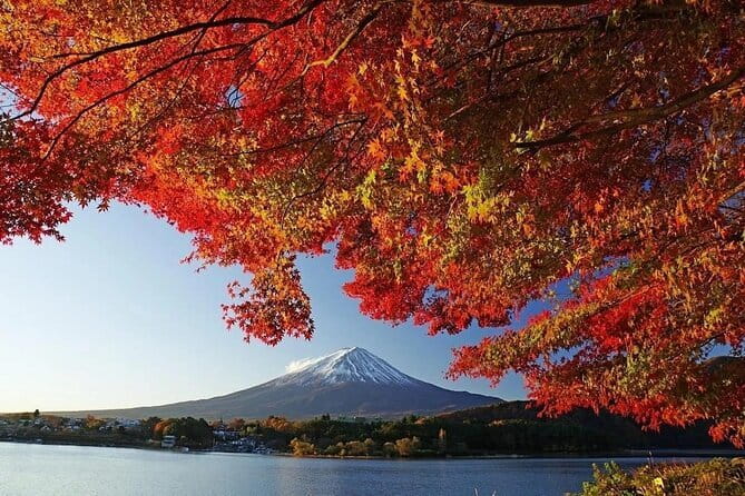 Mount Fuji Full Day Tour form Tokyo Lake Kawaguchi & Yamanaka - Lawson Fujikawaguchiko Town Hall, an unusual final photo