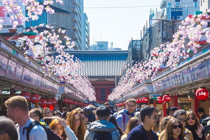 Mount Fuji Full Day Tour form Tokyo Lake Kawaguchi & Yamanaka - The Fuji weather gamble