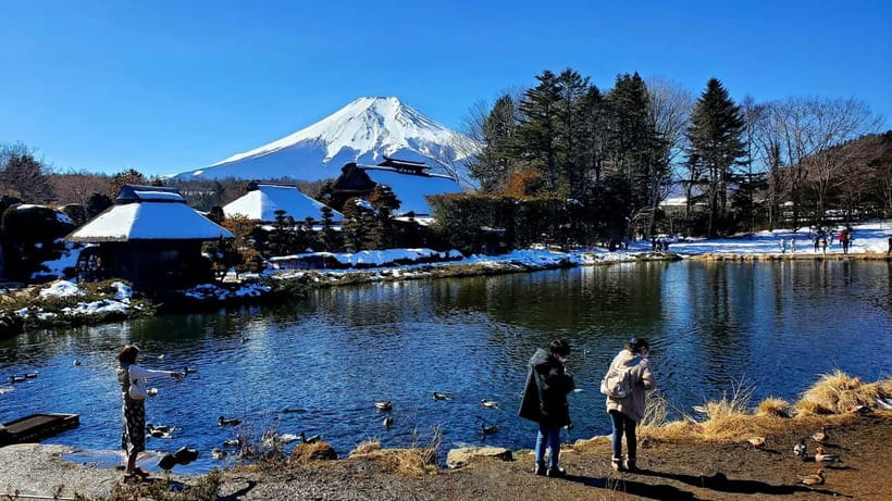 Mount Fuji & Hakone Full-Day Private Tour (Customizable) - One long day linking two famous Fuji areas