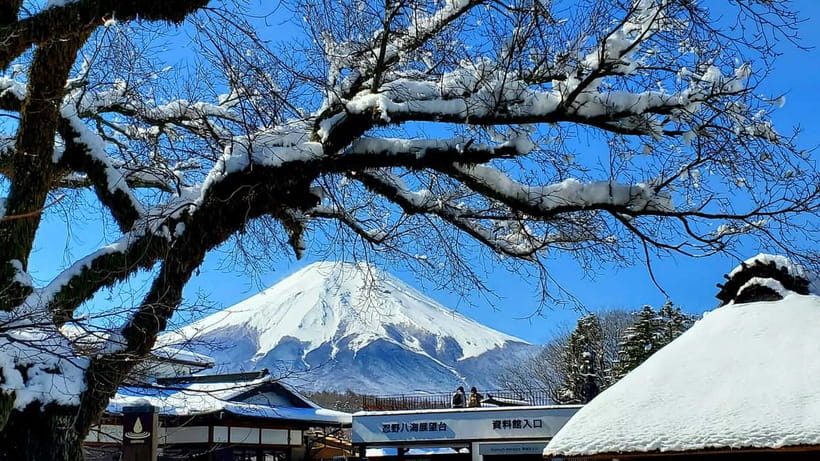 Mount Fuji & Hakone Full-Day Private Tour (Customizable) - Timing, pickup, and what to bring