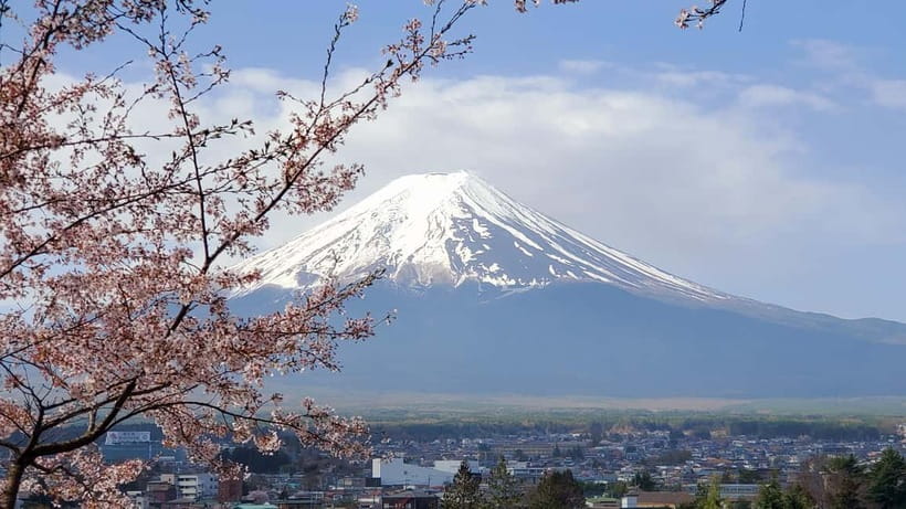 Mount Fuji & Hakone Full-Day Private Tour (Customizable) - Chureito Pagoda and the postcard view of Fuji