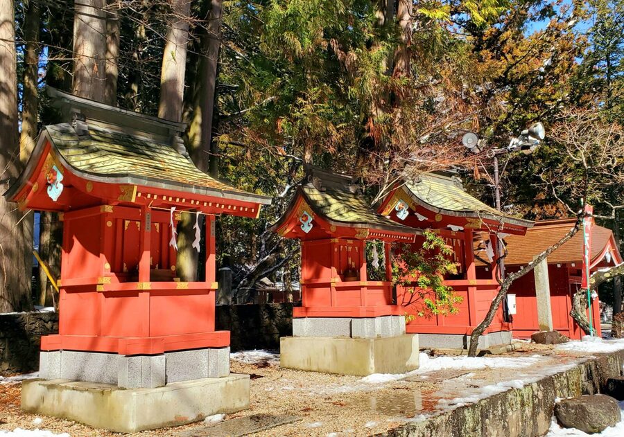 Mount Fuji & Hakone Full-Day Private Tour (Customizable) - Lake Ashi and the pirate ship slow the pace