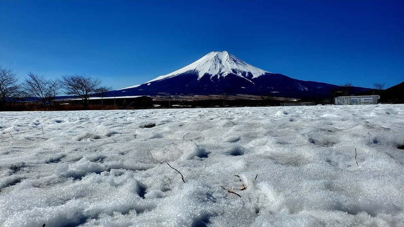 Mount Fuji & Hakone Full-Day Private Tour (Customizable) - Gotemba shopping is an option, not part of the fixed route