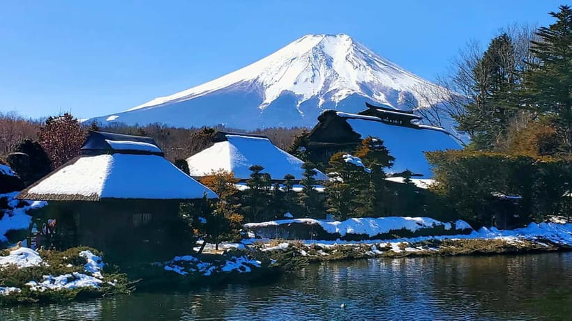 Mount Fuji & Hakone Full-Day Private Tour (Customizable) - What the private price really covers