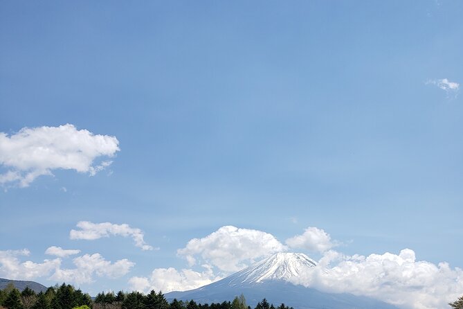Mount Fuji, Hakone & Lakekawaguchiko Private Group Tour by Car. - Lake Kawaguchiko by boat or from the shore