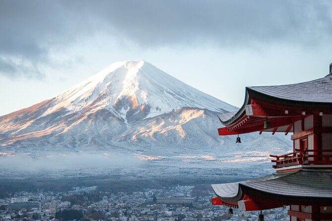 Mount Fuji, Hakone & Lakekawaguchiko Private Group Tour by Car. - Lake Yamanaka and the swans