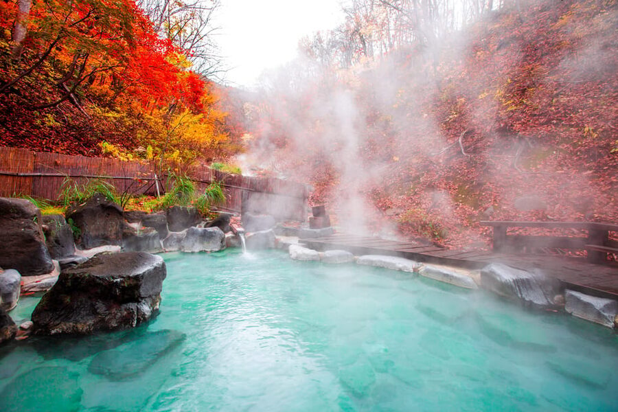 Mount Fuji - Hakone & Onsen Full Day Private Tour - Key points at a glance