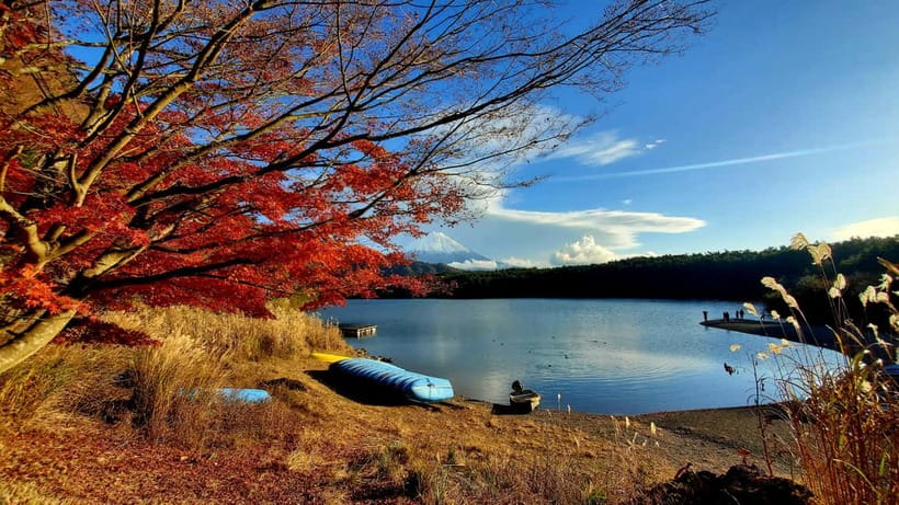 Mount Fuji & Hakone Private Tour with Bullet Train Return - Key points to know before booking