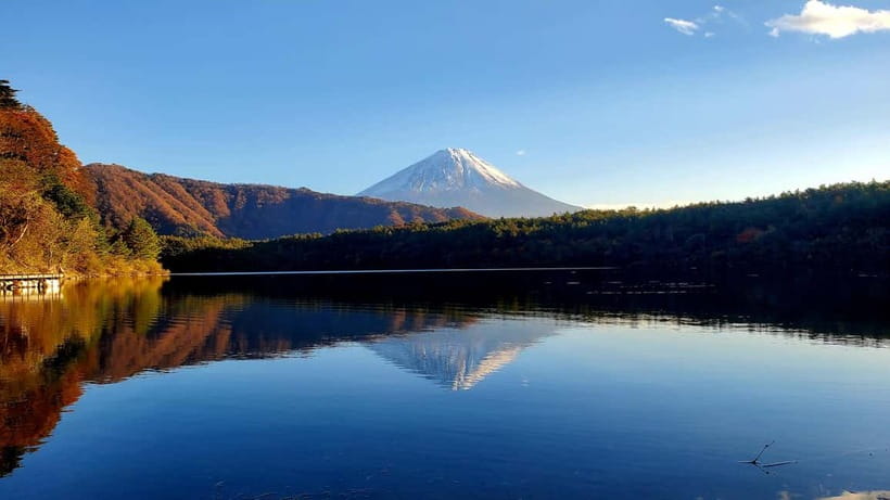 Mount Fuji & Hakone Private Tour with Bullet Train Return - The Shinkansen finish at Odawara Station