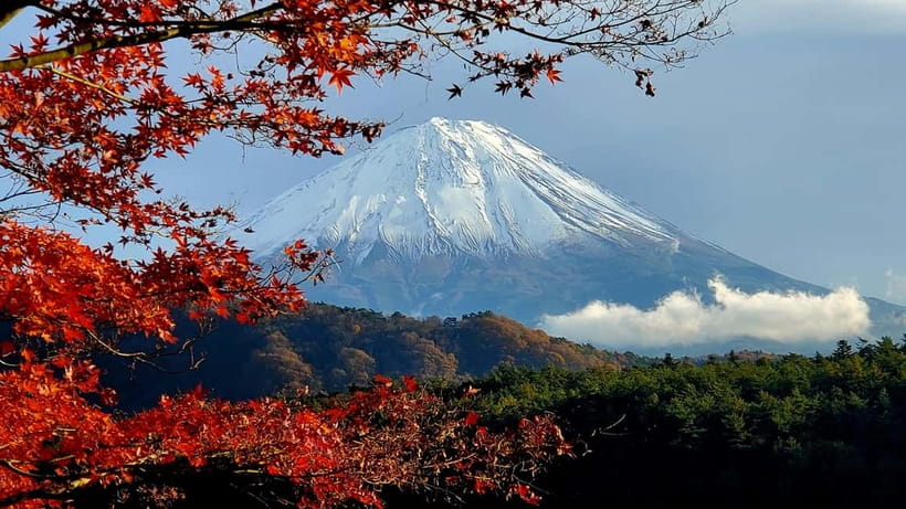 Mount Fuji & Hakone Private Tour with Bullet Train Return - Kitaguchi-hongu Fuji Sengen Shrine