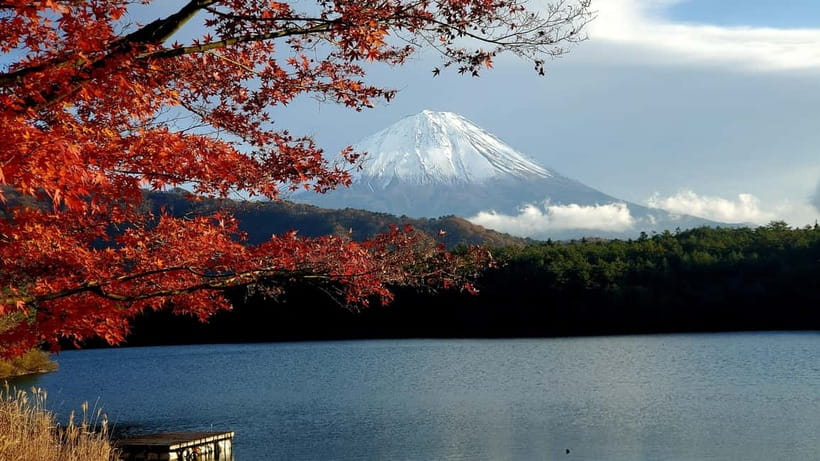 Mount Fuji & Hakone Private Tour with Bullet Train Return - Oshino Hakkai and the clear spring ponds